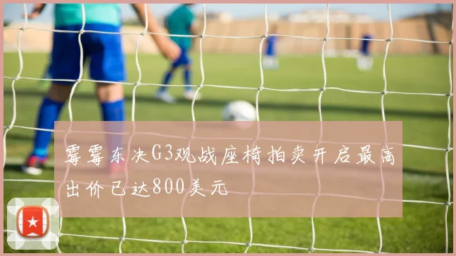 霉霉东决G3观战座椅拍卖开启最高出价已达800美元